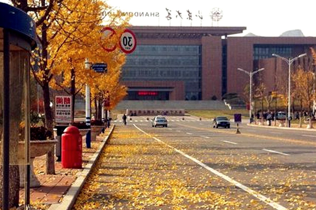 An autumn street lined with trees and campus buildings in soft daylight.