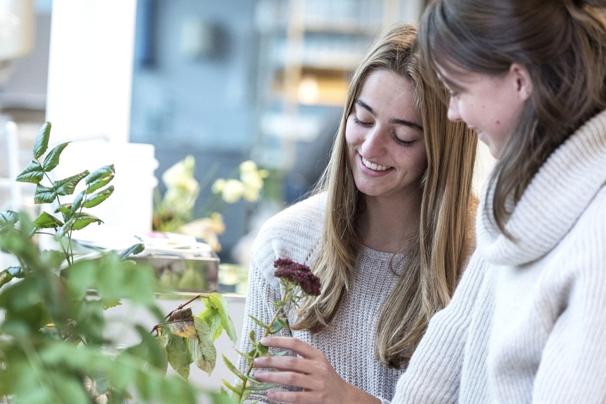 Two people examining a leafy plant in a bright indoor space.